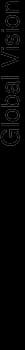 Global Vision